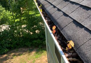 Three Surprising Finds During Professional Gutter Cleaning