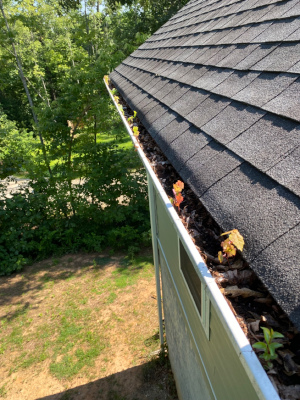 Three Surprising Finds During Professional Gutter Cleaning